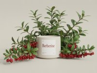 Berberine supplement image
