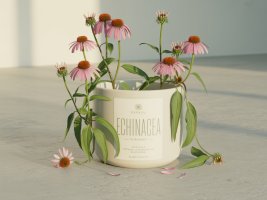 echinacea supplement image