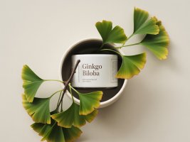 ginkgo biloba supplement image