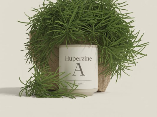 Huperzine A supplement image