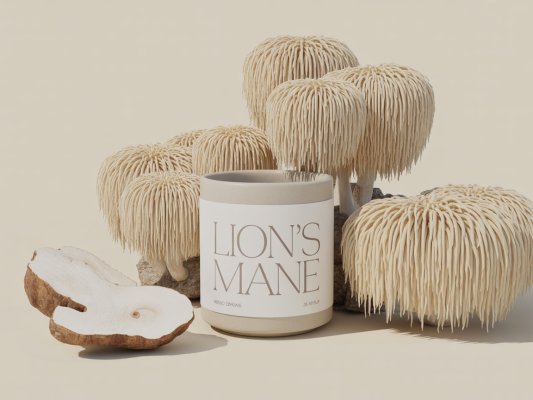 Lion’s Mane supplement image