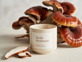 Reishi Mushroom supplement image